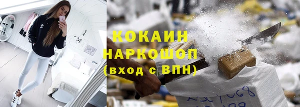 шишки Белокуриха
