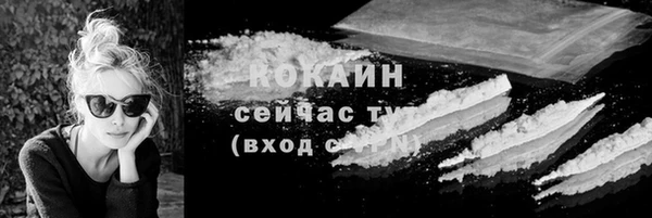 шишки Белокуриха