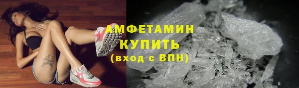 шишки Белокуриха
