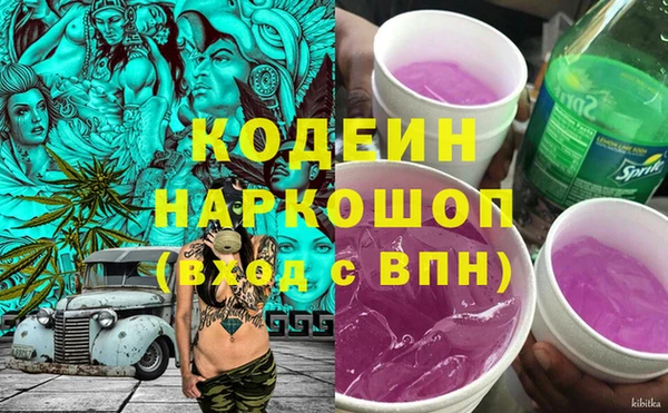 шишки Белокуриха