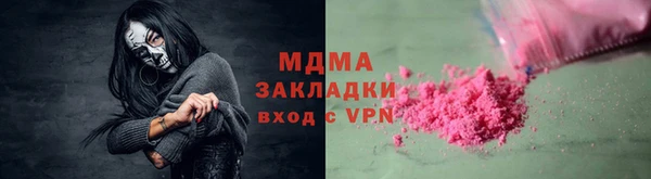 шишки Белокуриха