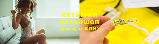 шишки Белокуриха
