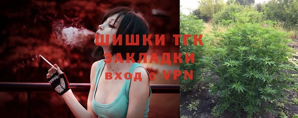 шишки Белокуриха