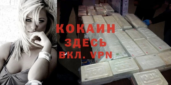 шишки Белокуриха