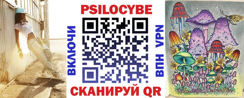 darknet наркотические препараты  купить закладку  Облучье  Псилоцибиновые грибы Psilocybe 